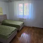 公寓 Amalia - Two Bedroom With Terrace